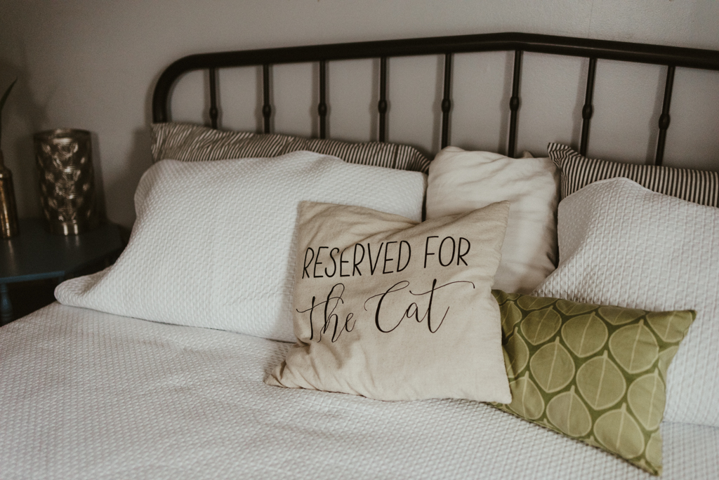 Reserved for the cat pillow, elopement