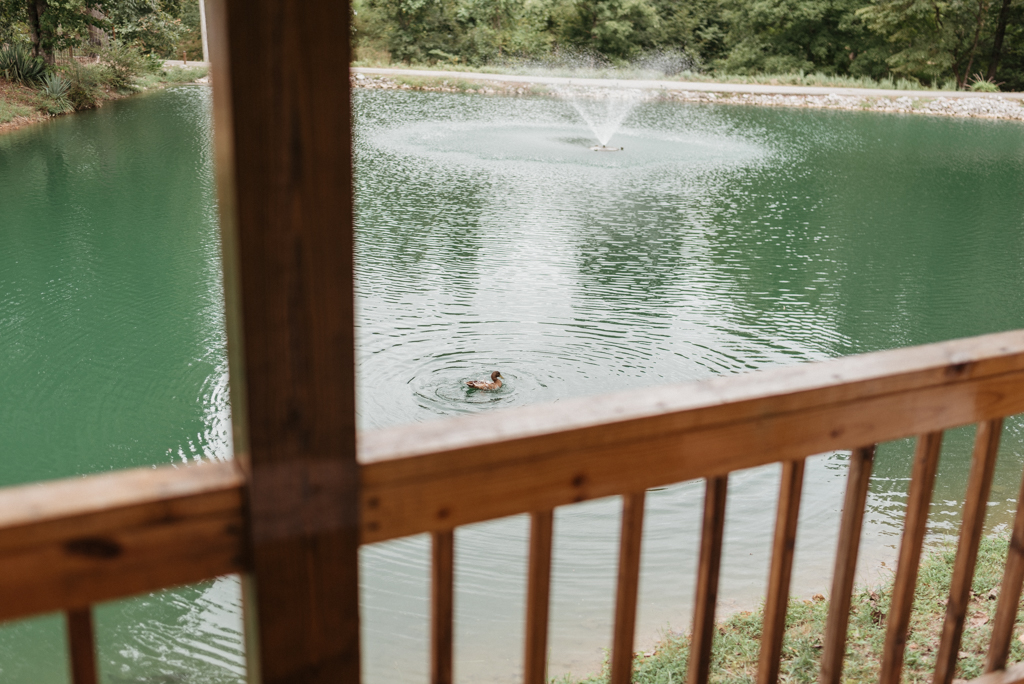 Duck swimming in blue lake